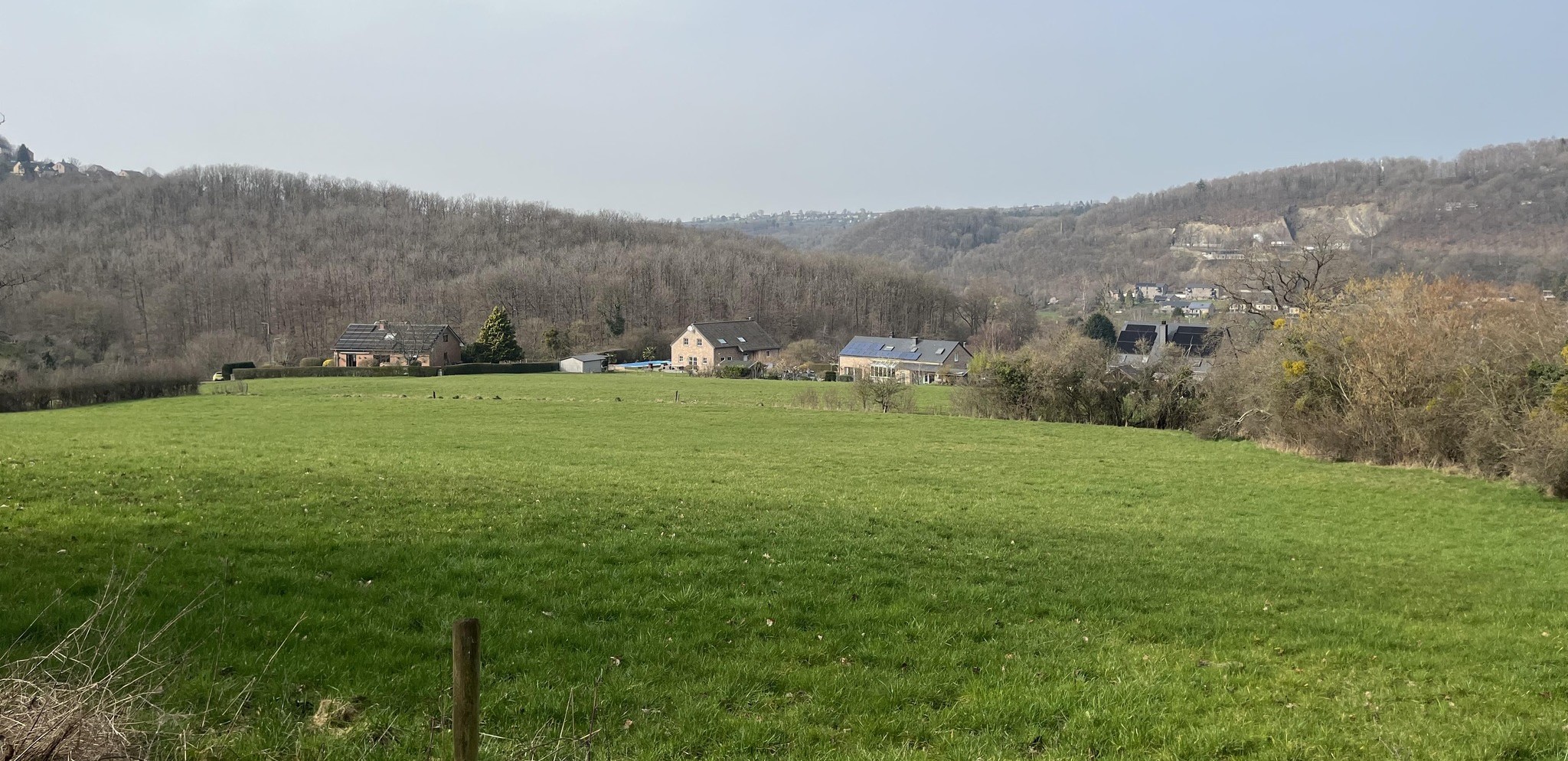 Vue de la prairie – terrain du projet